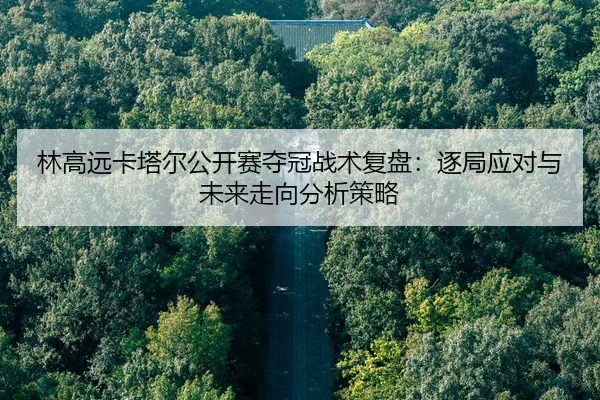 林高远卡塔尔公开赛夺冠战术复盘：逐局应对与未来走向分析策略